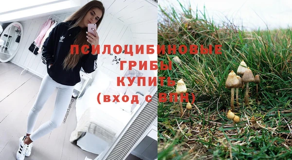 ешки Волоколамск