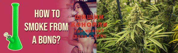 индика Кинешма