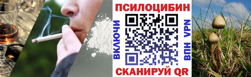 Галлюциногенные грибы ЛСД  Карачев 